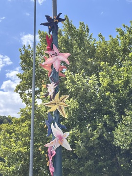 OCVETLIČENJE (6)